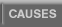 Causes