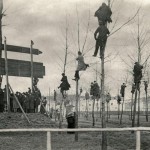 Fans in Trees. Match between Belgium and Holland in 1913.